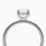 https://sacet.diamondsfactory.org/image/catalog/sacet/categories/hidden-halo-cate-img-156.png
